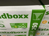 Partij saladboxx round transparent 300&250cc (2000x) - afbeelding 5 van  5