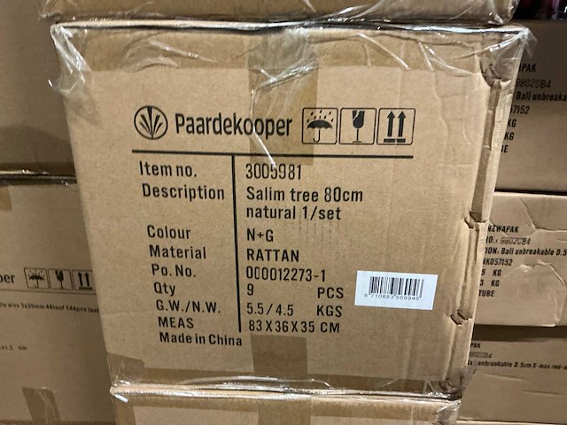 Partij salim tree 80cm naturel rattan (63x) - afbeelding 4 van  4
