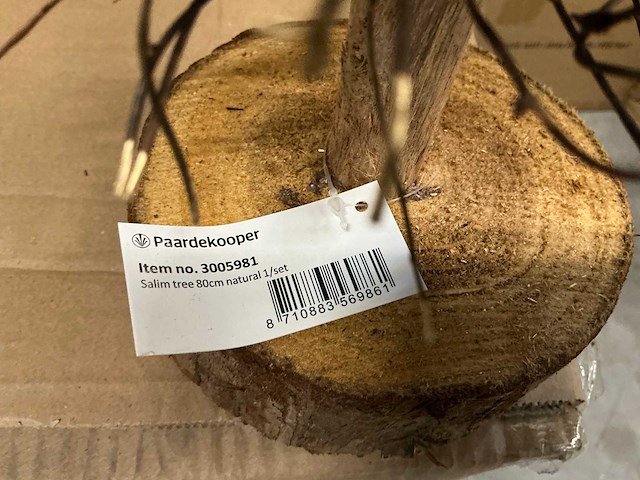 Partij salim tree 80cm naturel rattan (63x) - afbeelding 2 van  3