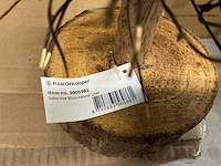 Partij salim tree 80cm naturel rattan (63x) - afbeelding 2 van  3