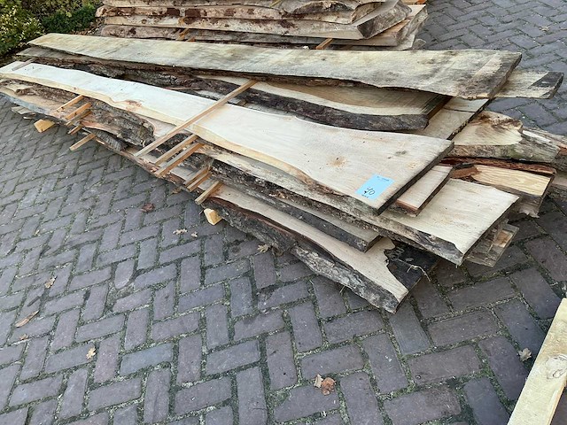 Partij schaaldelen - afbeelding 1 van  10