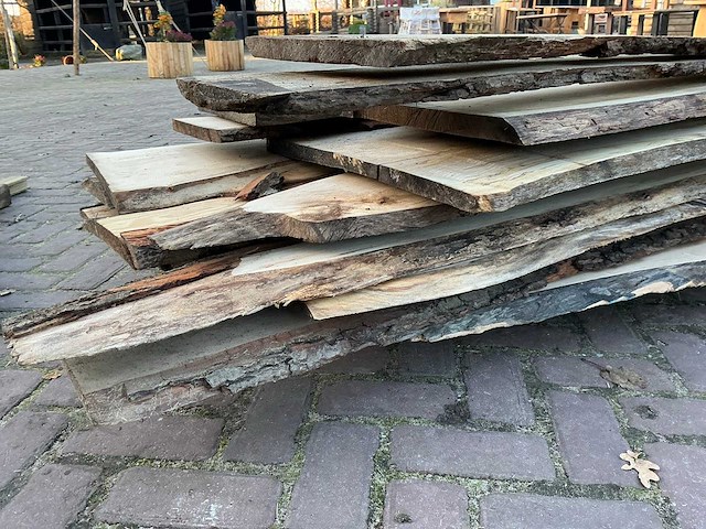 Partij schaaldelen - afbeelding 6 van  10