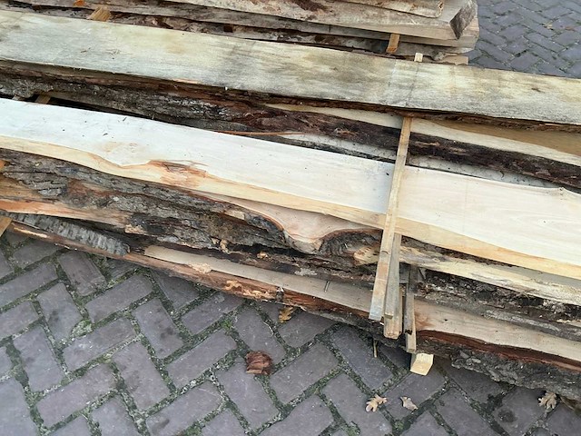 Partij schaaldelen - afbeelding 7 van  10