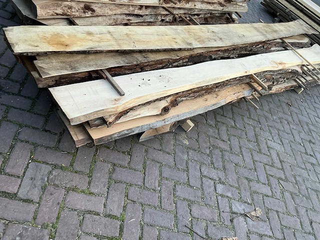 Partij schaaldelen - afbeelding 10 van  10