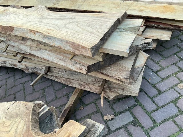 Partij schaaldelen - afbeelding 5 van  7