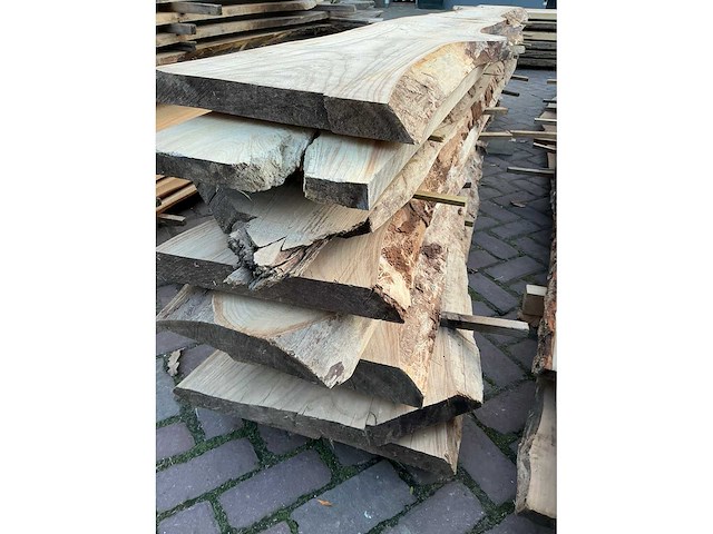 Partij schaaldelen - afbeelding 7 van  7