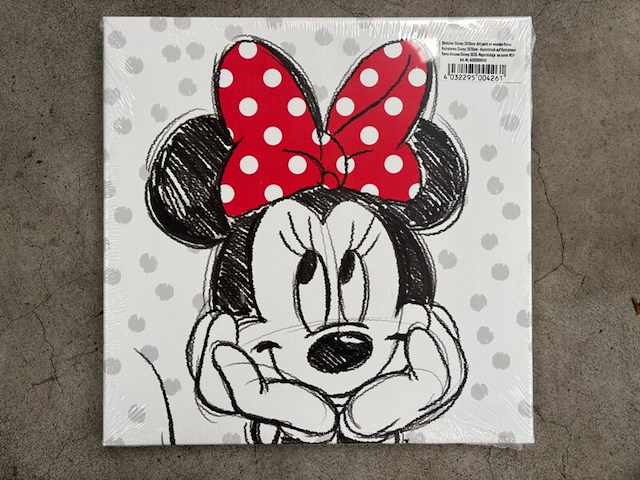 Partij schilderijen/wanddecoratie disney, canvas - afbeelding 4 van  4