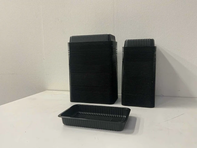 Partij serveer- en verpak bakjes 28x17x4 cm - afbeelding 1 van  4