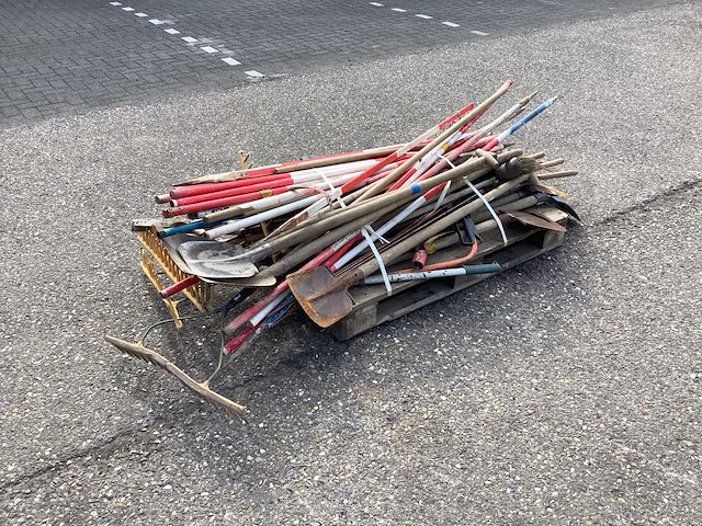 Partij sjalonstokken en tuingereedschap - afbeelding 1 van  7