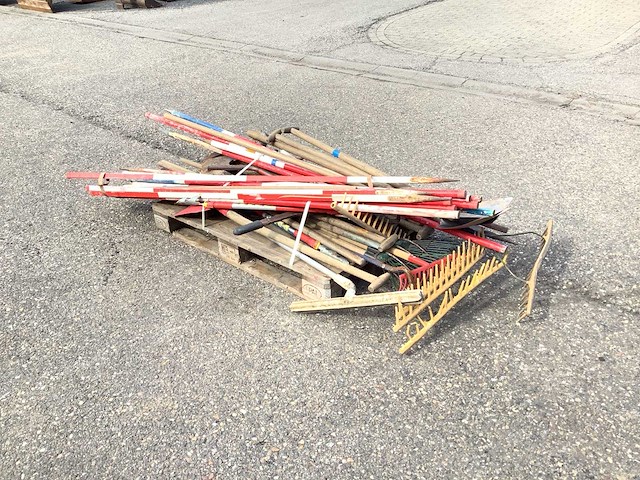 Partij sjalonstokken en tuingereedschap - afbeelding 6 van  7