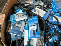 Partij skf multi-/ distributieriemen - afbeelding 3 van  4