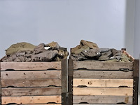 Partij slaapzakken - afbeelding 1 van  4