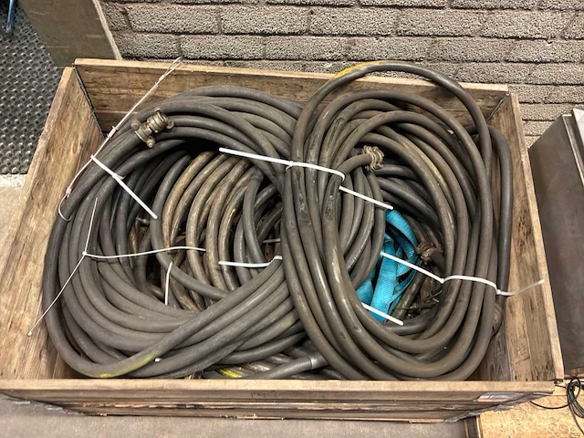 Partij slangen - afbeelding 5 van  7