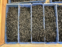 Partij slangklemmen - 12mm - afbeelding 3 van  6