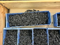 Partij slangklemmen - 12mm - afbeelding 5 van  6