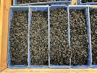 Partij slangklemmen - 12mm - afbeelding 3 van  6