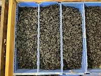 Partij slangklemmen - afbeelding 3 van  6