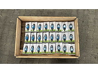 Partij slimme watertimer (24x) - afbeelding 1 van  2
