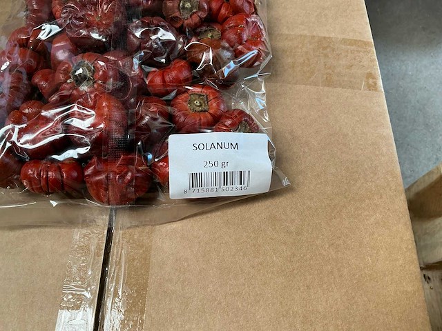Partij solanum naturel 250gr per zak (360x) - afbeelding 1 van  3
