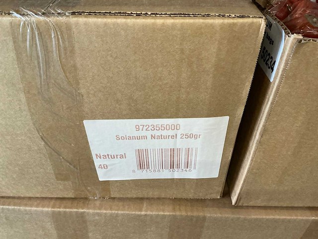 Partij solanum naturel 250gr per zak (360x) - afbeelding 3 van  3