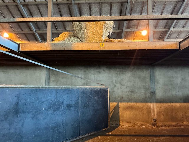 Partij stalinrichting – 6 poorten met draagconstructie en houten vloer - afbeelding 11 van  11