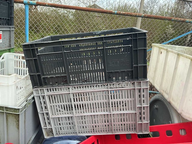 Partij stapelkratten in kar | ca. 25 kratten - afbeelding 7 van  7