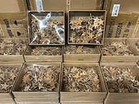 Partij star birch 2,5cm gold wash 150pcs/verpakking (260 verpakkingen) - afbeelding 1 van  3