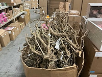 Partij steel sering medium l60-75cm (48x) - afbeelding 1 van  7