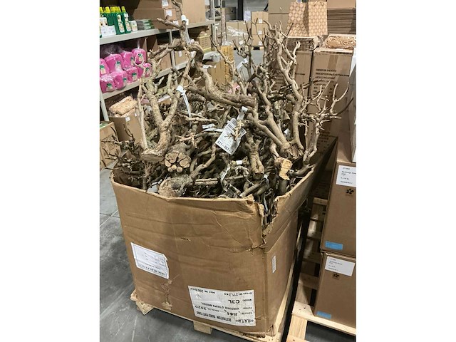 Partij steel sering medium l60-75cm (48x) - afbeelding 5 van  7