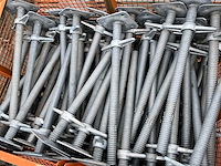 Partij steiger voetspindel (100x) - afbeelding 1 van  1