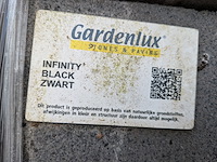 Partij stenen en tegels o.a. gardenlux - afbeelding 7 van  32