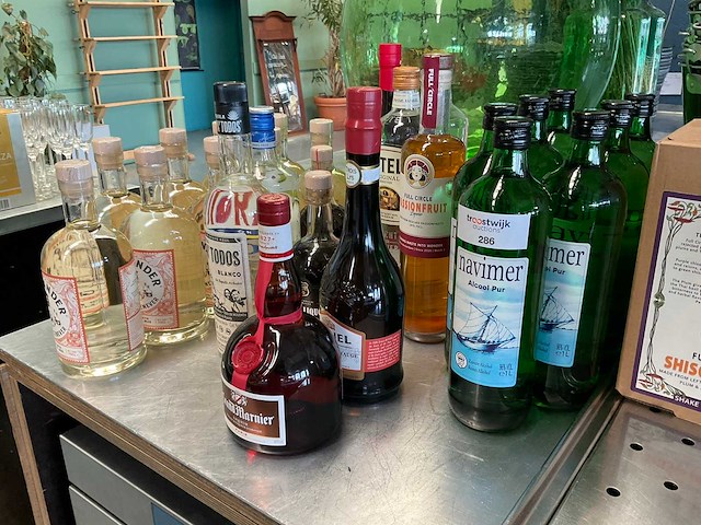 Partij sterke dranken - afbeelding 3 van  8