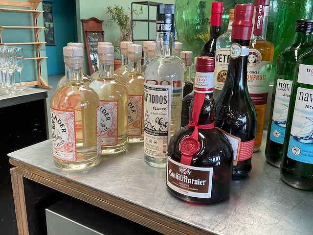 Partij sterke dranken - afbeelding 4 van  8