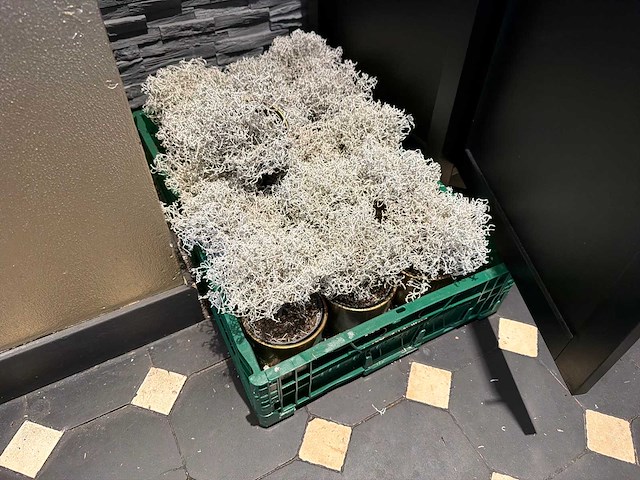 Partij tafel decoratiemateriaal - afbeelding 6 van  7