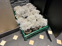 Partij tafel decoratiemateriaal - afbeelding 6 van  7