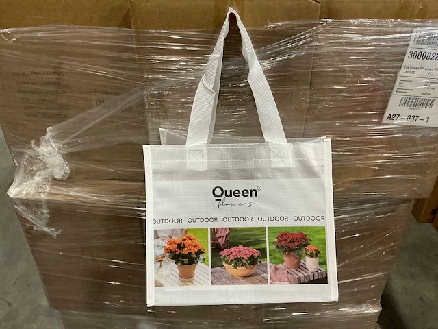 Partij tas queen pp woven 23x27x22cm (1800x) - afbeelding 1 van  5