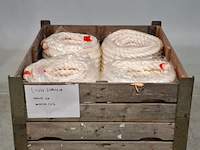 Partij touwen, 2012 - afbeelding 1 van  5