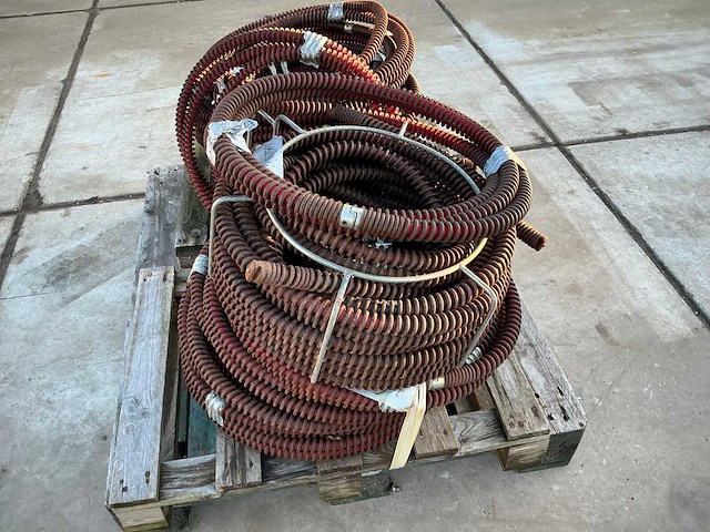 Partij trekveer - afbeelding 3 van  8