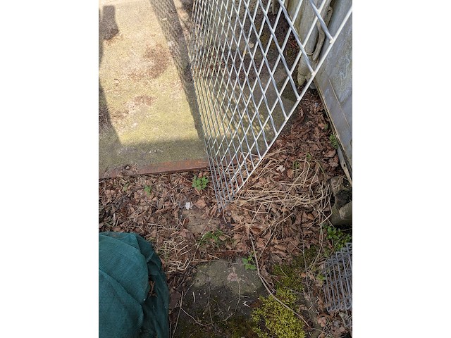 Partij tuingaas o.a. voor klimop - afbeelding 7 van  8