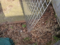 Partij tuingaas o.a. voor klimop - afbeelding 7 van  8