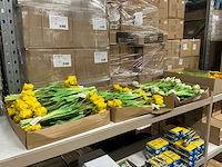 Partij tulpen 47cm wit&geel&oranje 7/bun (77x) - afbeelding 1 van  9