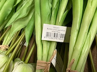 Partij tulpen 47cm wit&geel&oranje 7/bun (77x) - afbeelding 6 van  9