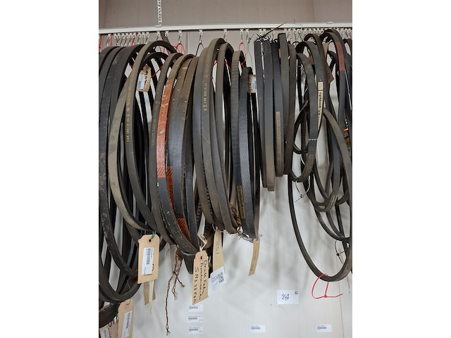 Partij v-snaren - afbeelding 8 van  12