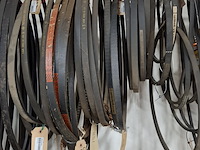 Partij v-snaren - afbeelding 8 van  12