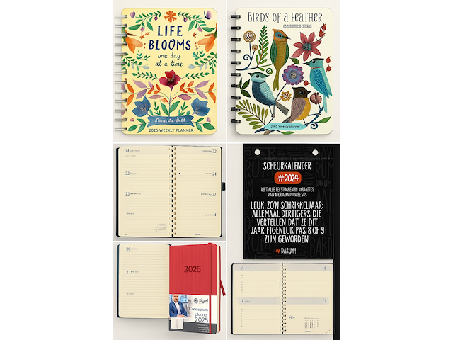 Partij verstelbare zwembandjes, boeken en agenda's - afbeelding 4 van  6