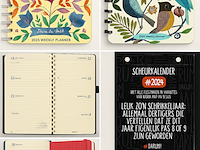 Partij verstelbare zwembandjes, boeken en agenda's - afbeelding 4 van  6