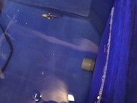 Partij vissen - afbeelding 7 van  11