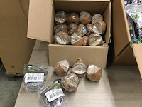 Partij vogelvoer diverse soorten, diversen - afbeelding 3 van  6