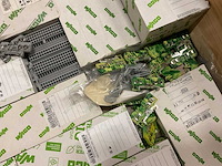 Partij wago installatiemateriaal - afbeelding 9 van  24