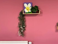 Partij wanddecoratie - afbeelding 5 van  6